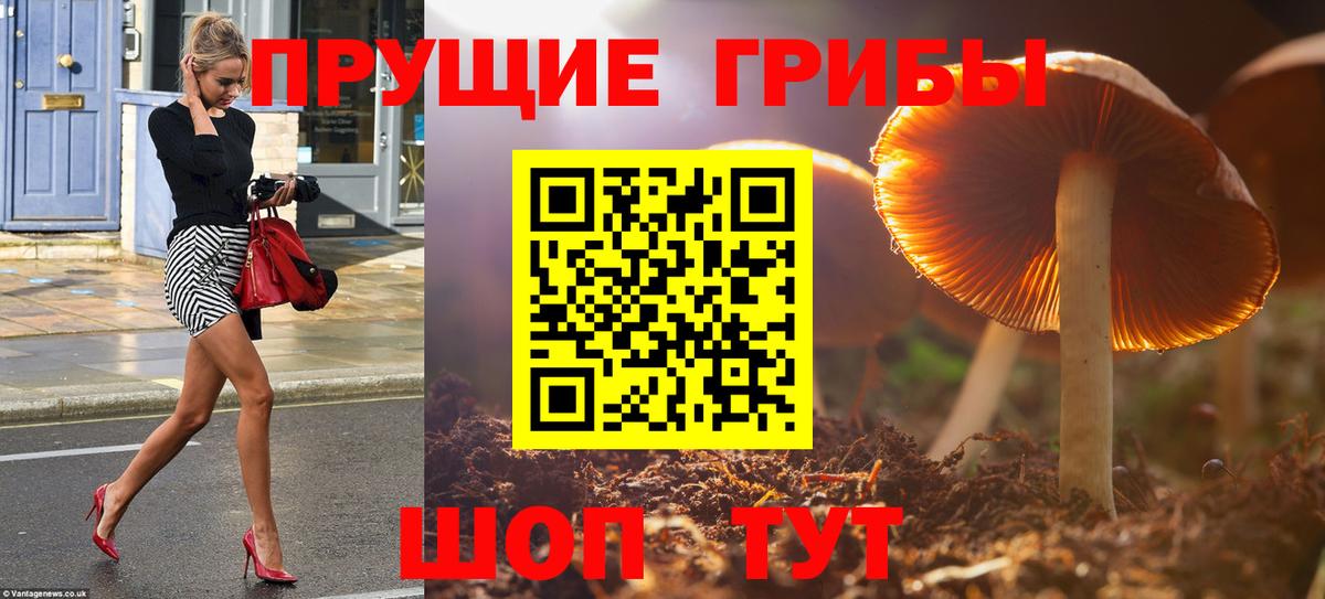 Нарьян-Мар  Галлюциногенные грибы Psilocybe  купить наркотик  Вход с VPN 